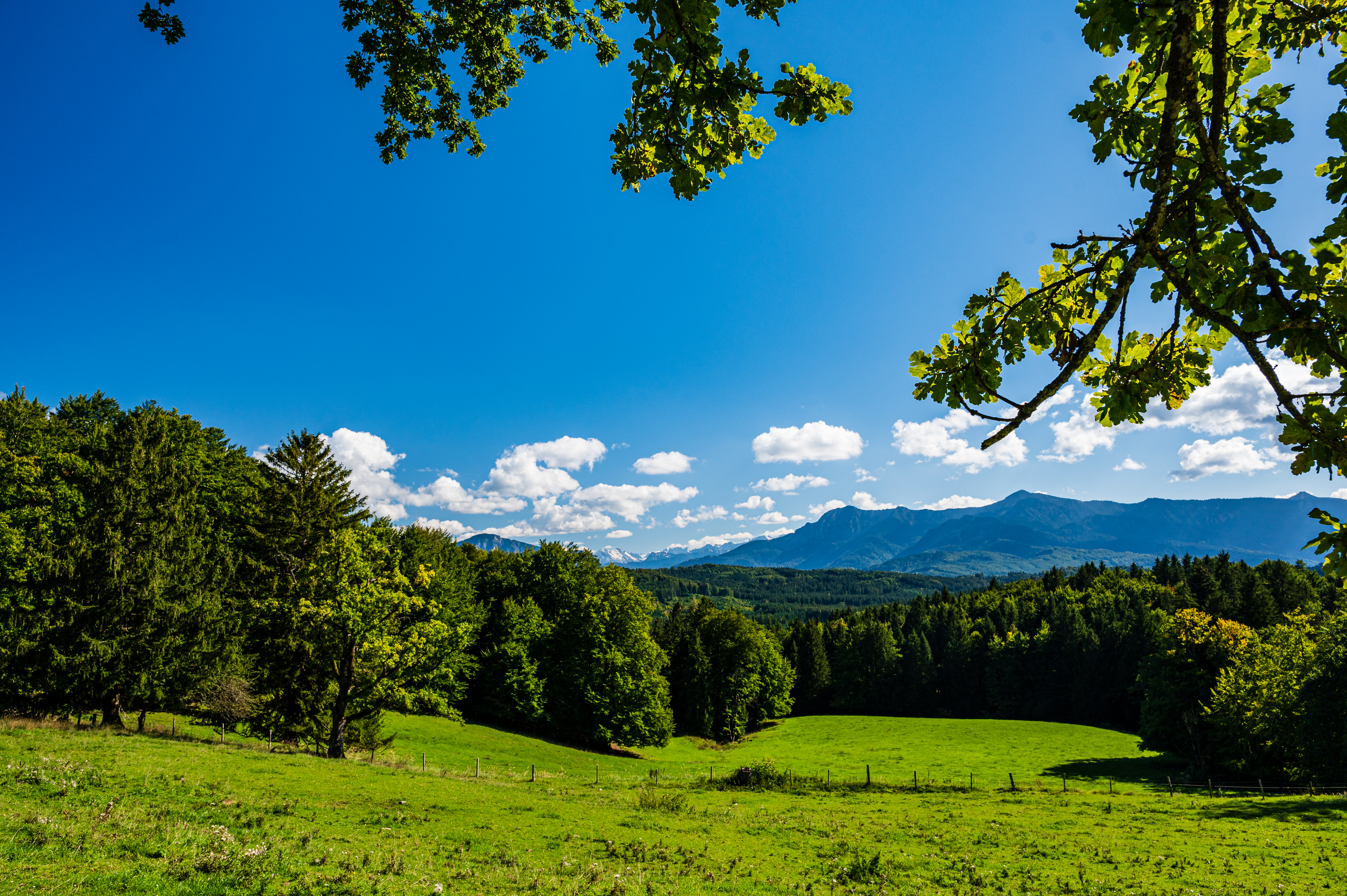Wanderung Aidlinger Höhe